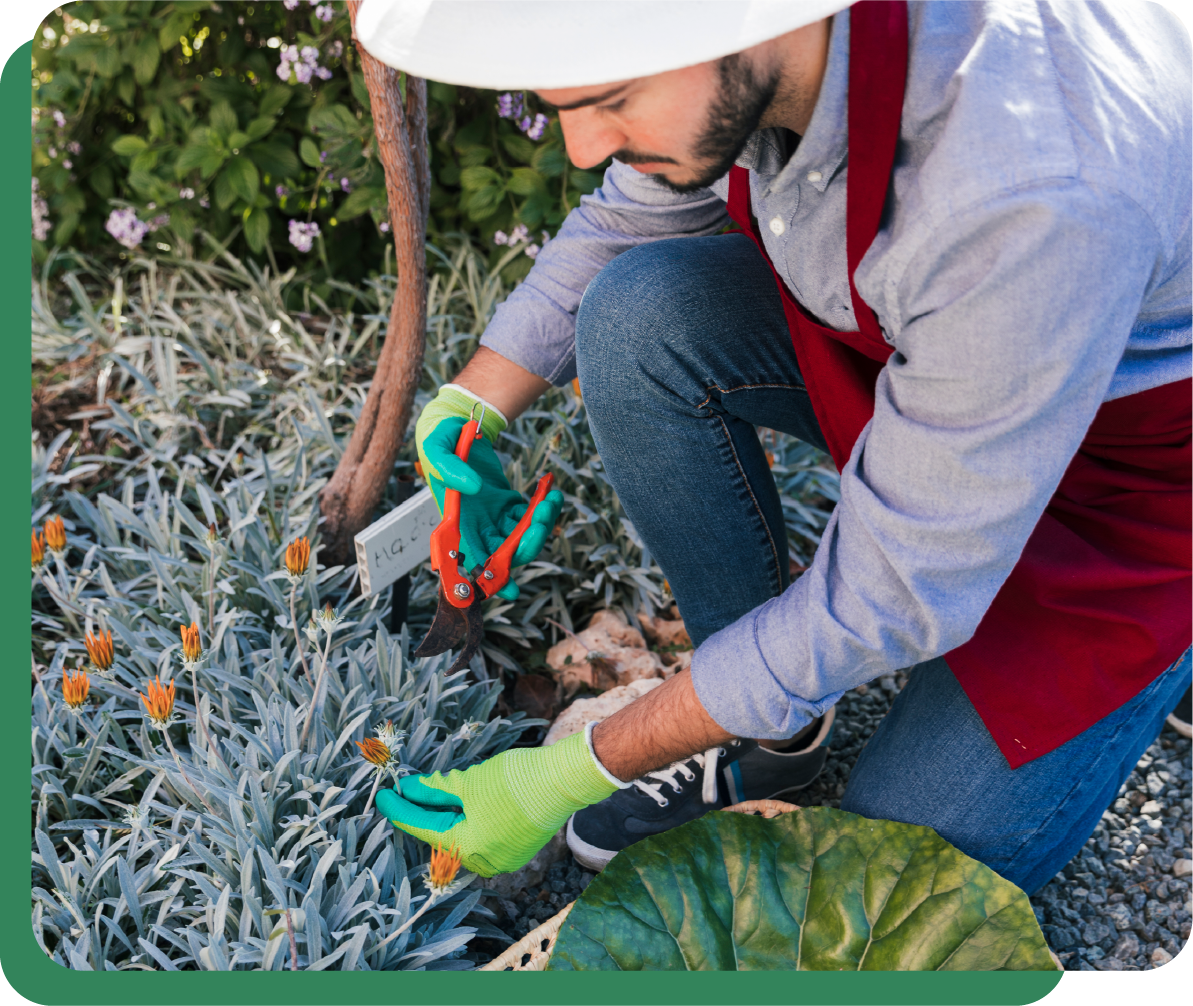 Foto de jardinería